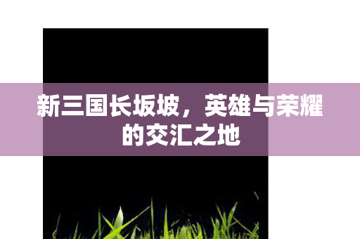 英雄与荣耀的交汇之地图片