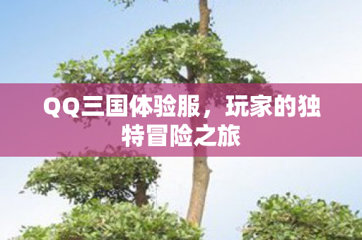 玩家的独特冒险之旅图片