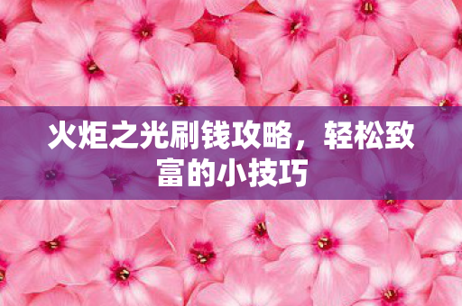 火炬之光刷钱攻略图片