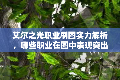 艾尔之光职业刷图实力解析图片