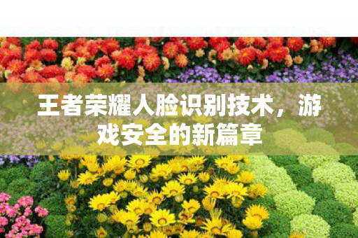 王者荣耀人脸识别技术图片