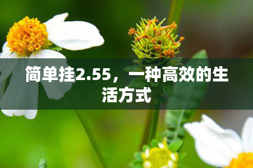 一种高效的生活方式图片