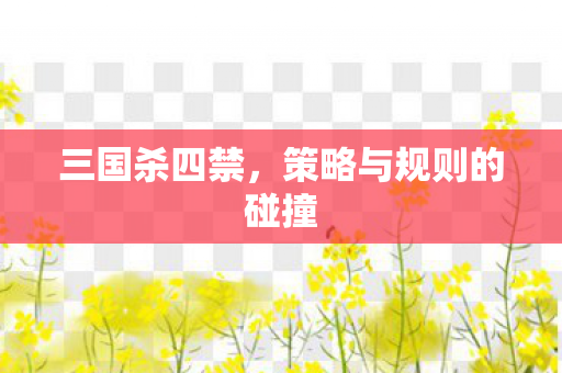 策略与规则的碰撞图片