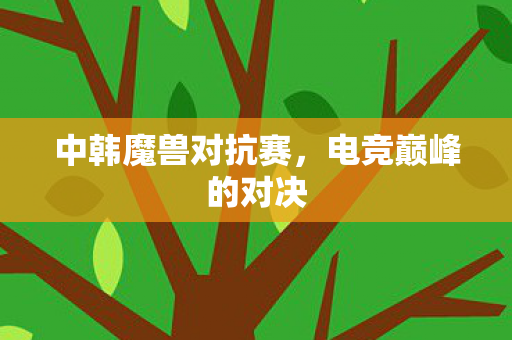 中韩魔兽对抗赛图片