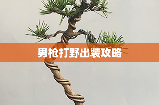 男枪打野出装攻略图片