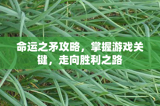 命运之矛攻略图片