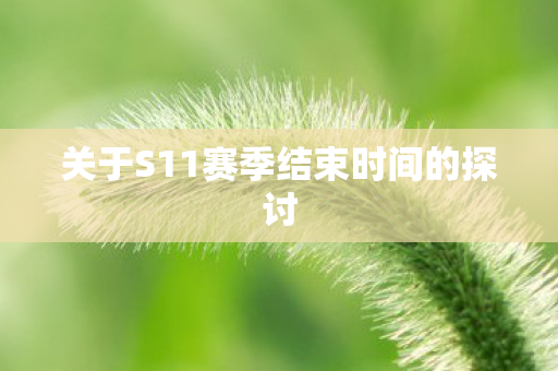关于S11赛季结束时间的探讨图片