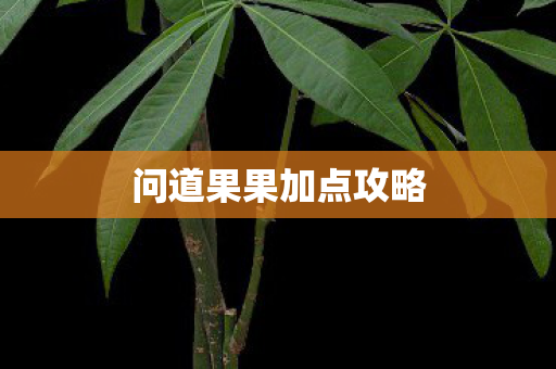 问道果果加点攻略图片
