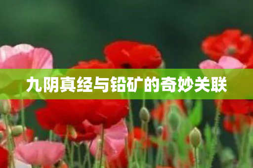 九阴真经与铅矿的奇妙关联图片