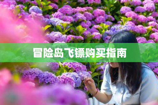 冒险岛飞镖购买指南图片