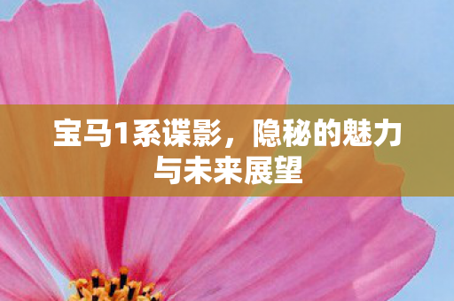 隐秘的魅力与未来展望图片