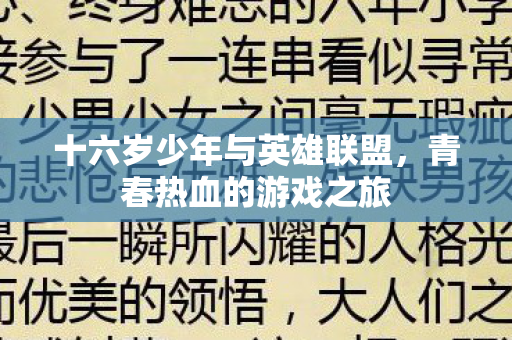 十六岁少年与英雄联盟图片