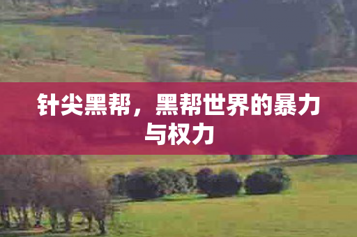 黑帮世界的暴力与权力图片