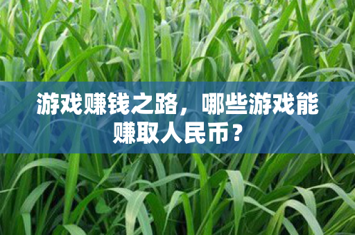 哪些游戏能赚取人民币图片