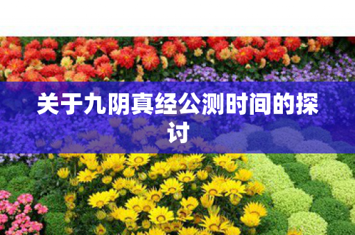 关于九阴真经公测时间的探讨图片