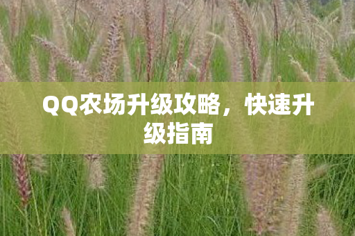 QQ农场升级攻略图片