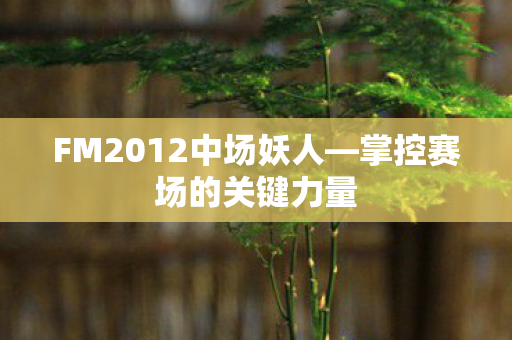 FM2012中场妖人图片