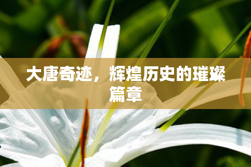 辉煌历史的璀璨篇章图片
