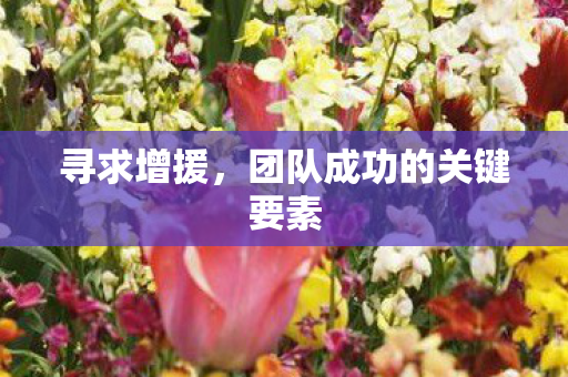 团队成功的关键要素图片
