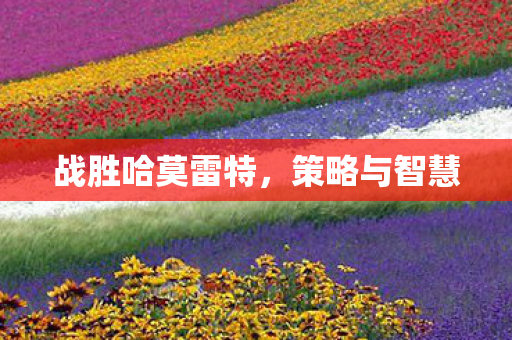 战胜哈莫雷特图片