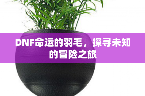 探寻未知的冒险之旅图片