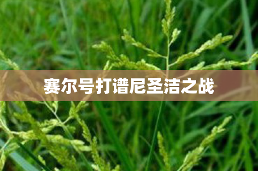赛尔号打谱尼圣洁之战图片