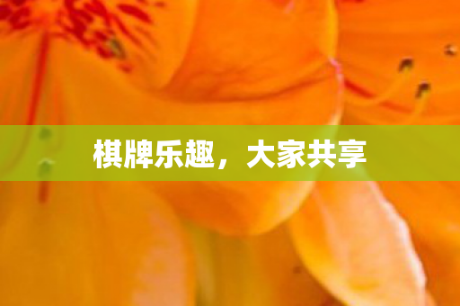 棋牌乐趣图片
