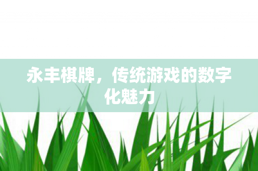 传统游戏的数字化魅力图片