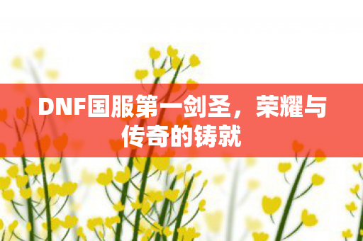 DNF国服第一剑圣图片