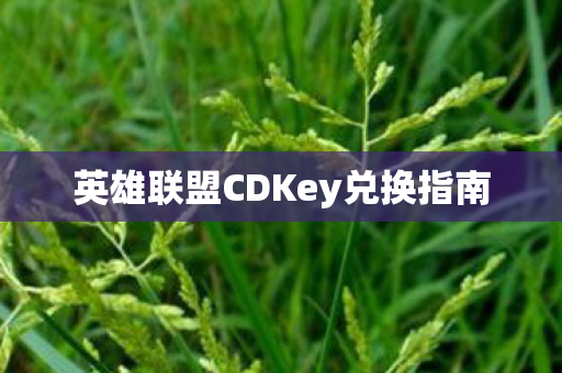 英雄联盟CDKey兑换指南图片