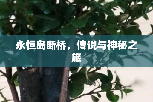 传说与神秘之旅图片