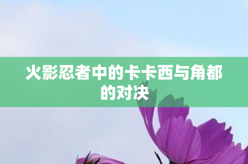 火影忍者中的卡卡西与角都的对决图片