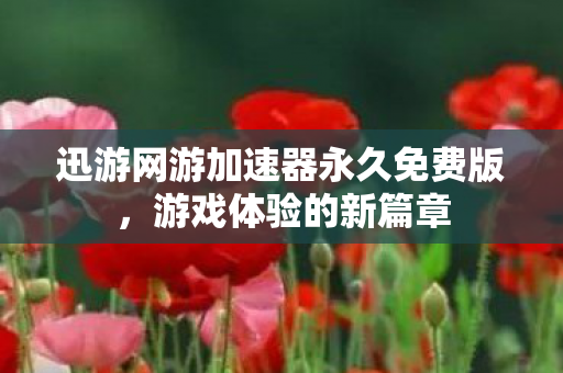 迅游网游加速器永久免费版图片
