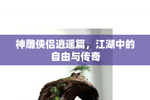 江湖中的自由与传奇图片