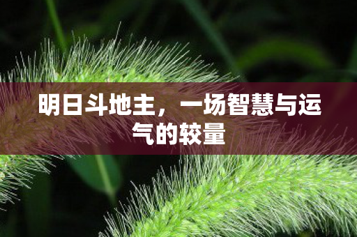 一场智慧与运气的较量图片