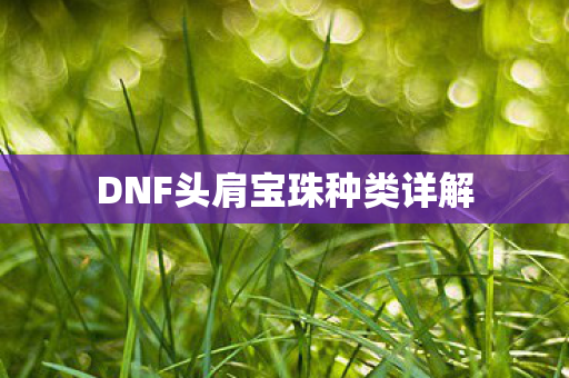 DNF头肩宝珠种类详解图片