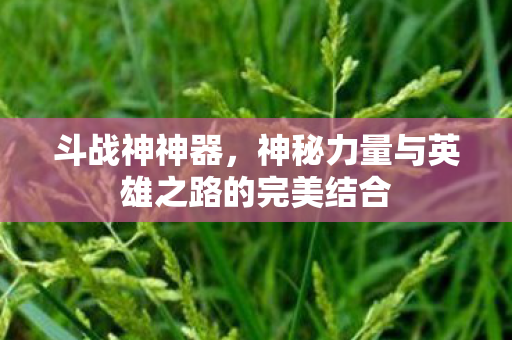 神秘力量与英雄之路的完美结合图片