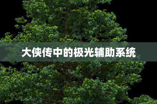 大侠传中的极光辅助系统图片