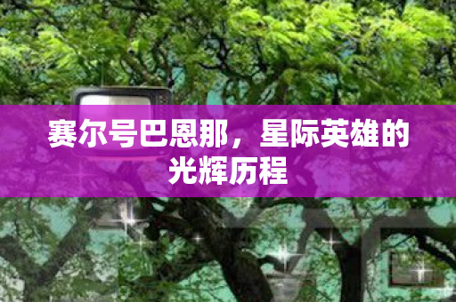 星际英雄的光辉历程图片