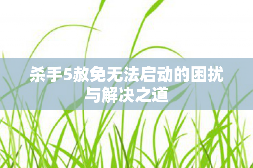 杀手5赦免无法启动的困扰与解决之道图片
