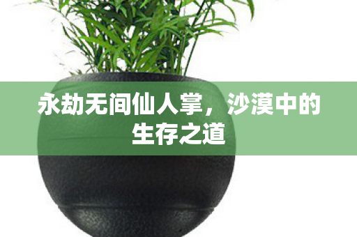 沙漠中的生存之道图片