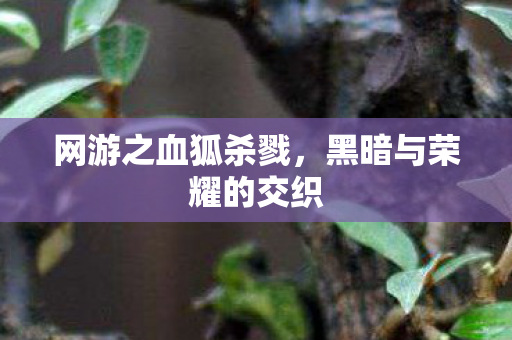 黑暗与荣耀的交织图片
