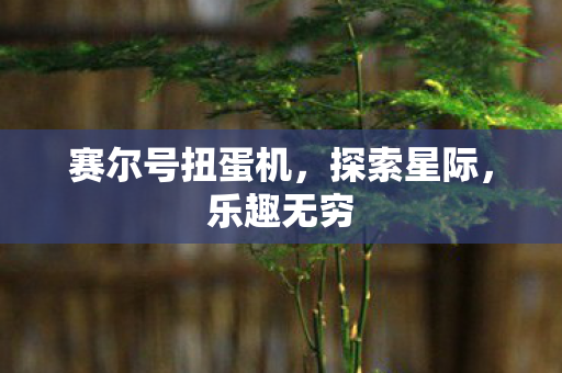 赛尔号扭蛋机图片
