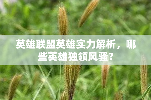 英雄联盟英雄实力解析图片