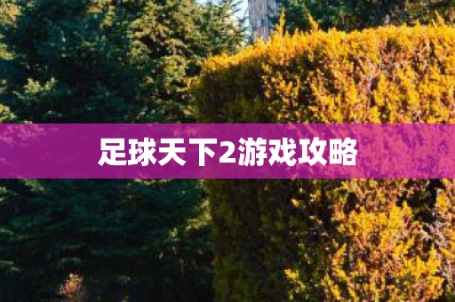 足球天下2游戏攻略图片