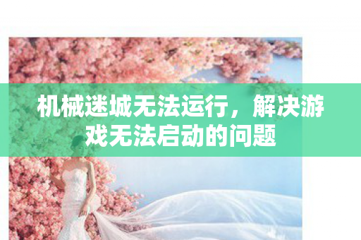 解决游戏无法启动的问题图片