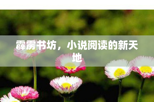 小说阅读的新天地图片