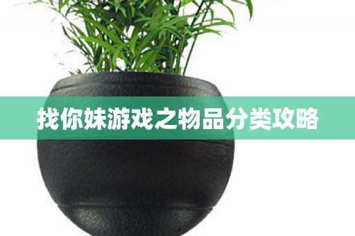找你妹游戏之物品分类攻略图片