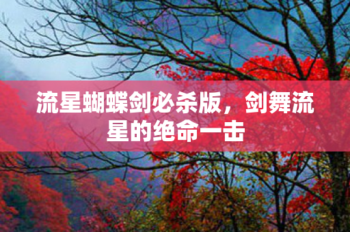 剑舞流星的绝命一击图片