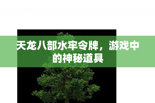 天龙八部水牢令牌图片